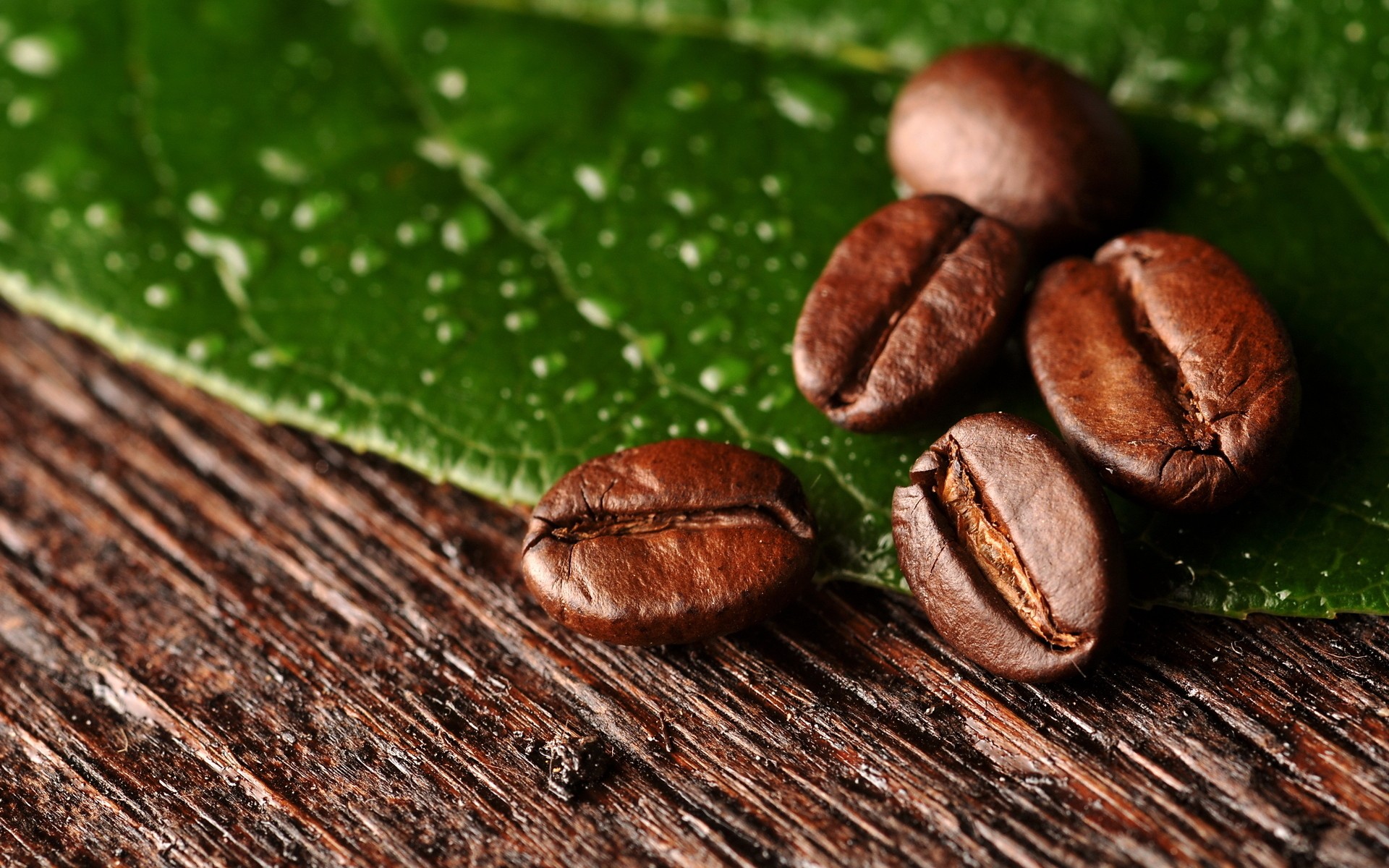 quelques-grains-de-cafe-sur-une-feuille-de-cafe