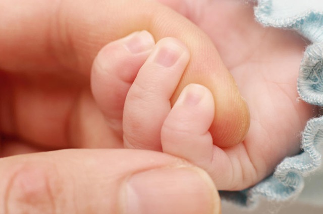 main-de-bebe-dans-une-main-d-adulte