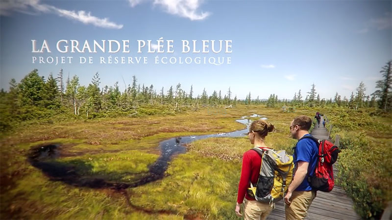 grande-plee-bleue-1